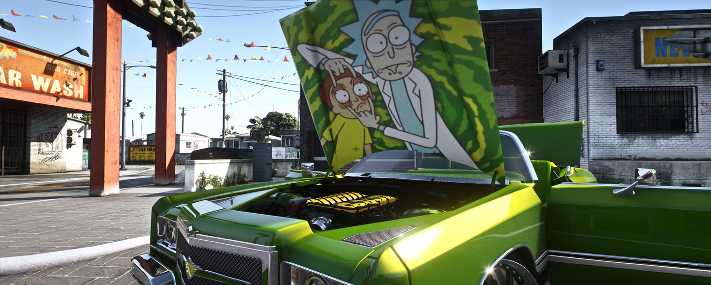 74 Rick and Morty Donk